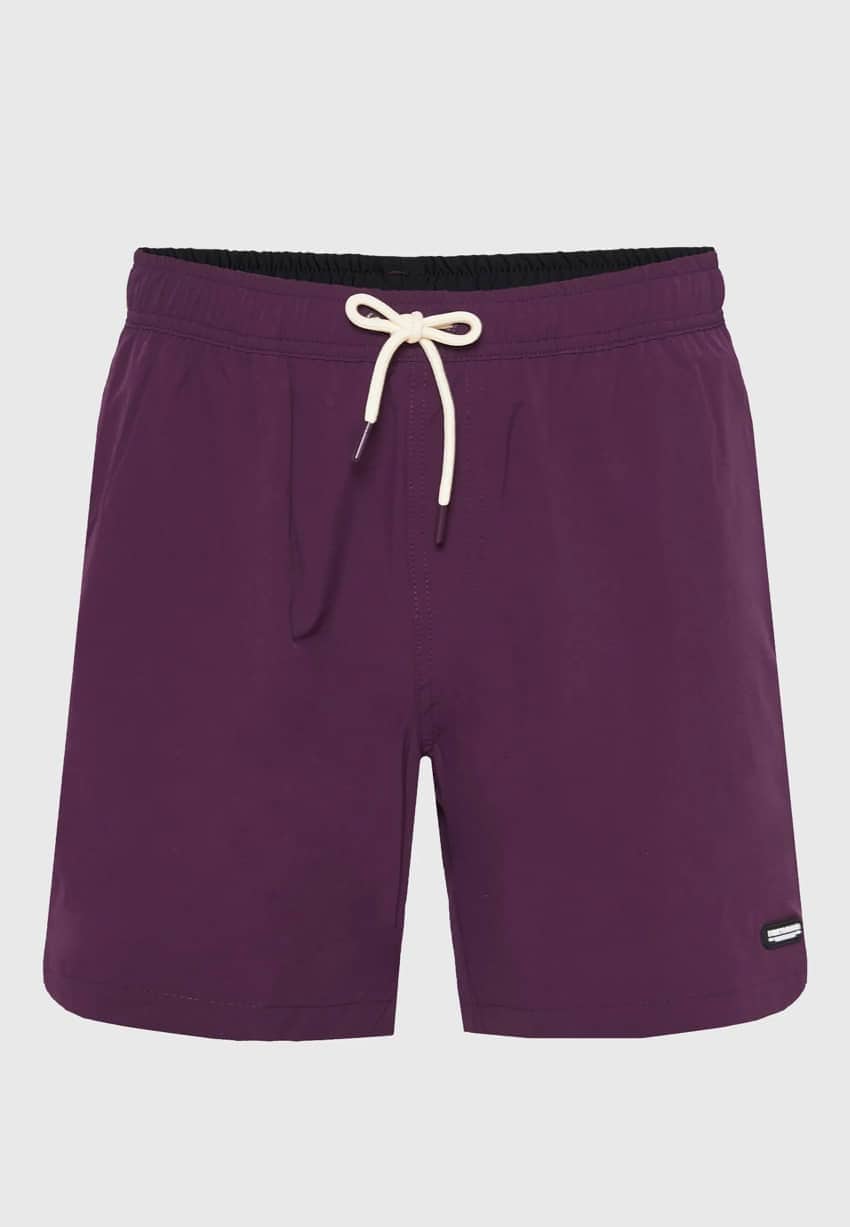 μαγιό-funky-buddha-fbm011-001-16-plum (1)
